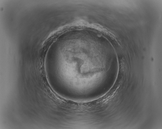 X0000064041494200601271149