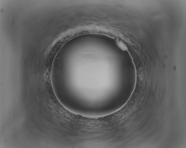 X0000064041495200601271149