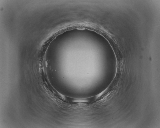 X0000064041496200601271149