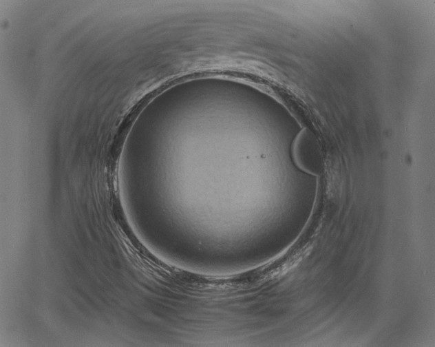 X0000064041497200601271149