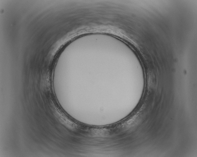 X0000064041498200601271149