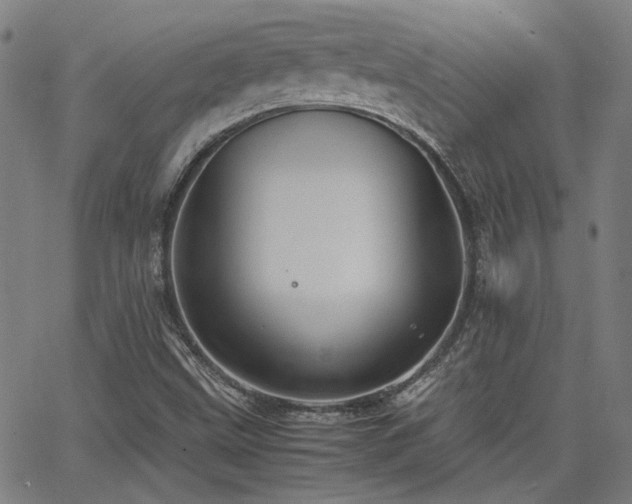 X0000064041499200601271149