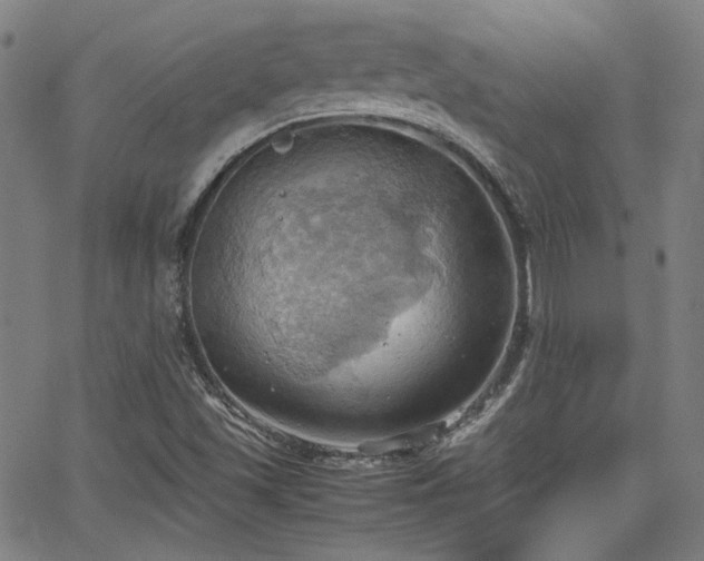 X0000064041501200601271149