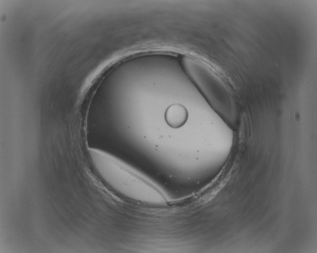 X0000064041502200601271149