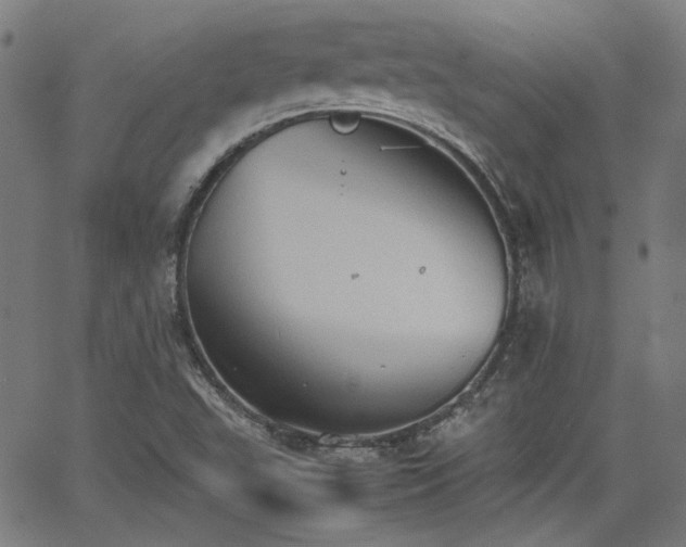 X0000064041503200601271149