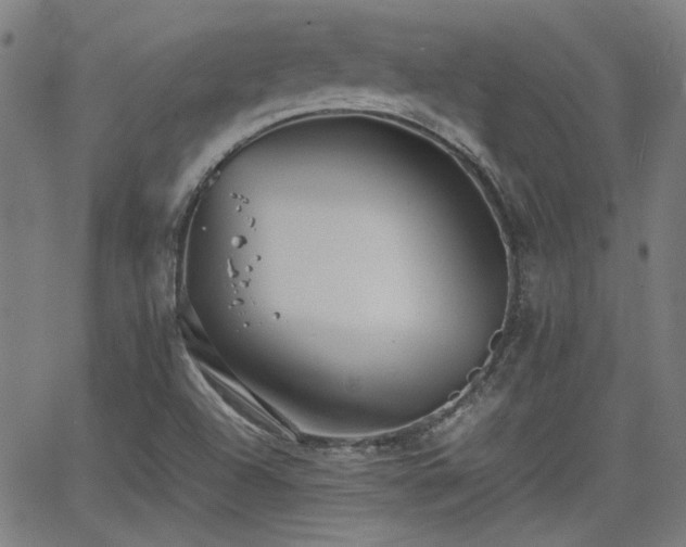 X0000064041504200601271149