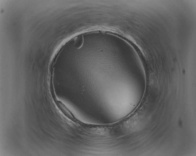 X0000064041508200601271149