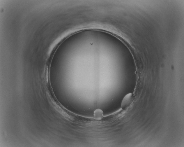 X0000064041510200601271149