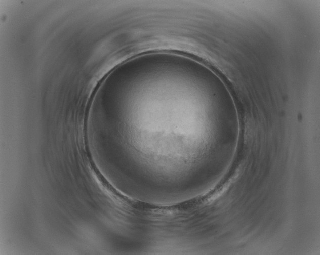 X0000064041513200601271149