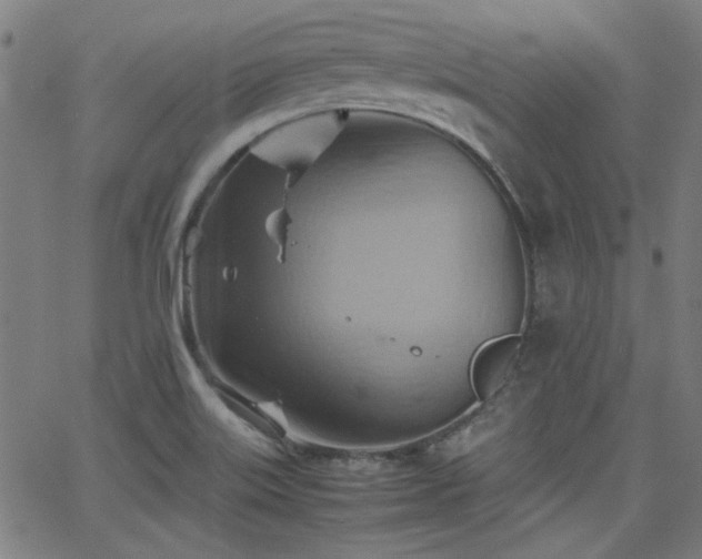 X0000064041515200601271149