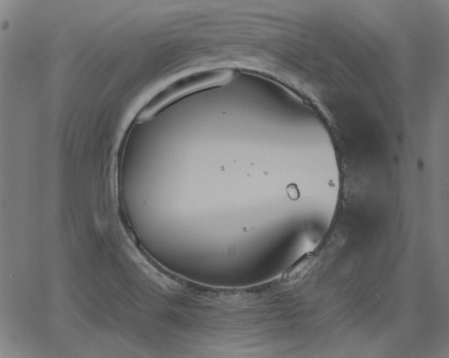 X0000064041516200601271149