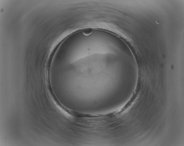 X0000064041517200601271149