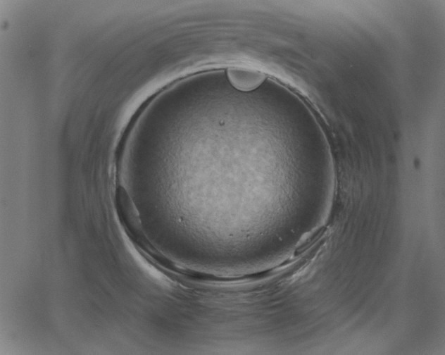 X0000064041519200601271149