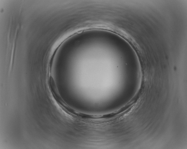 X0000064041520200601271149