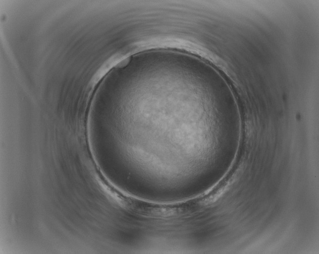 X0000064041521200601271149