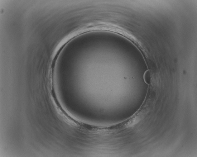 X0000064041522200601271149