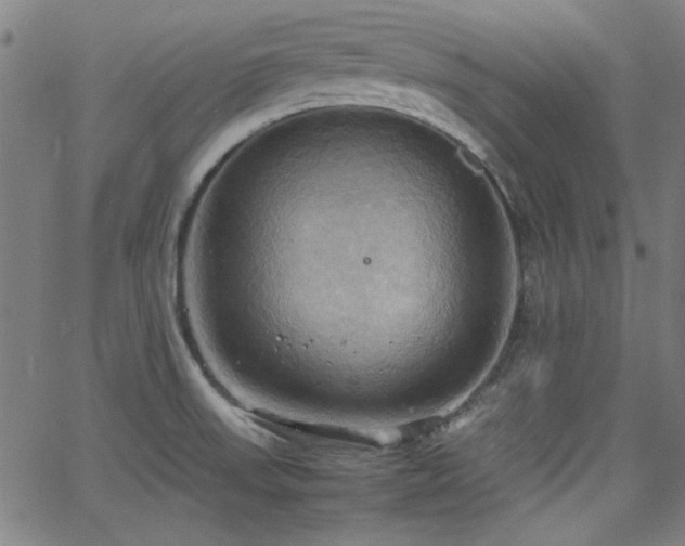 X0000064041523200601271149