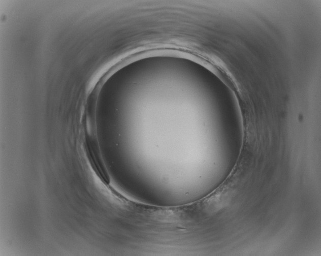 X0000064041524200601271149