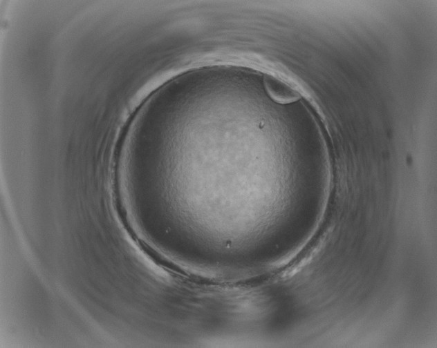 X0000064041525200601271149