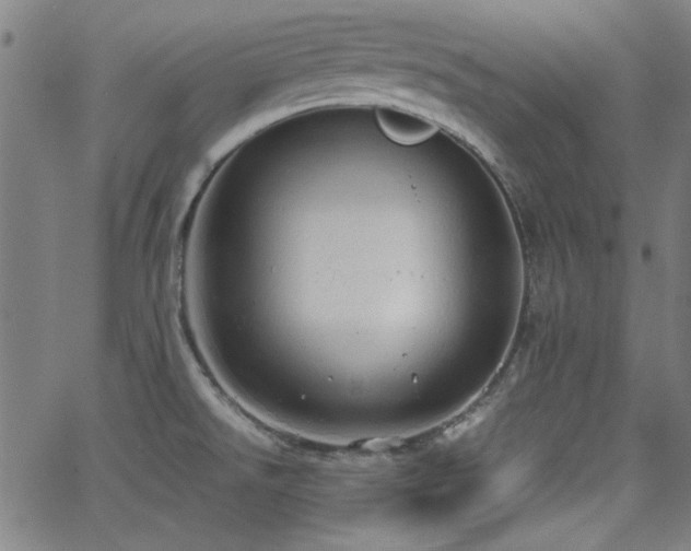 X0000064041526200601271149