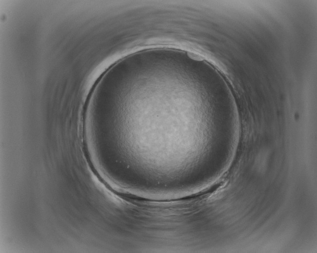 X0000064041527200601271149