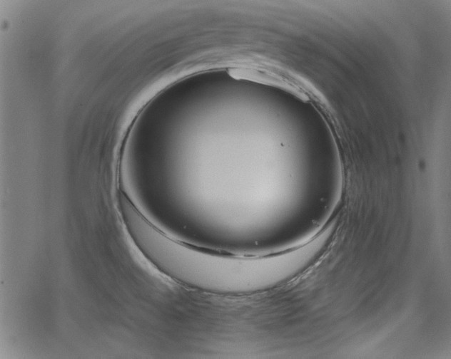 X0000064041528200601271149