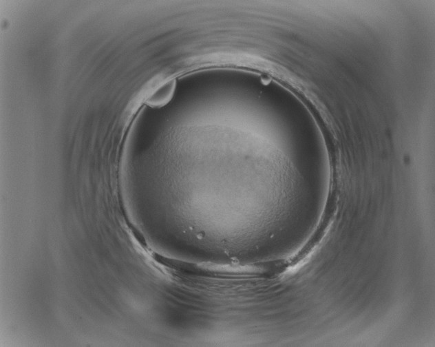 X0000064041529200601271149