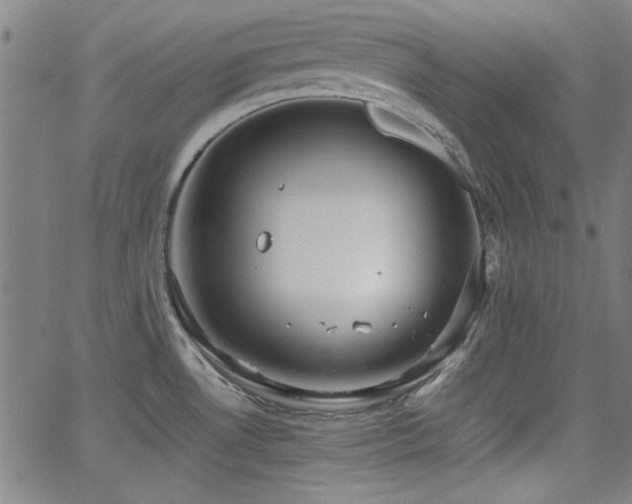 X0000064041530200601271149