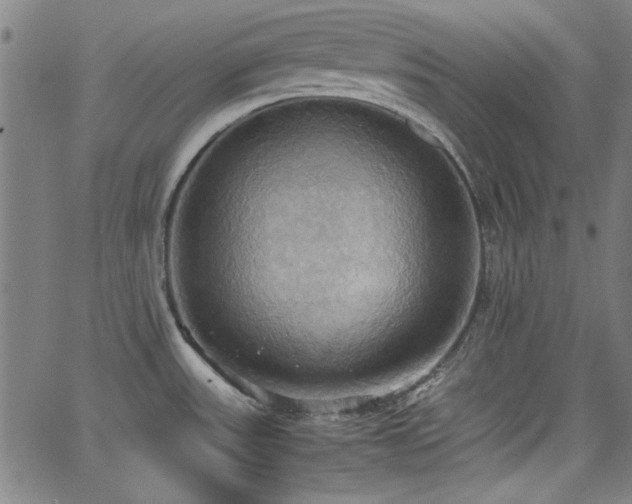 X0000064041531200601271149