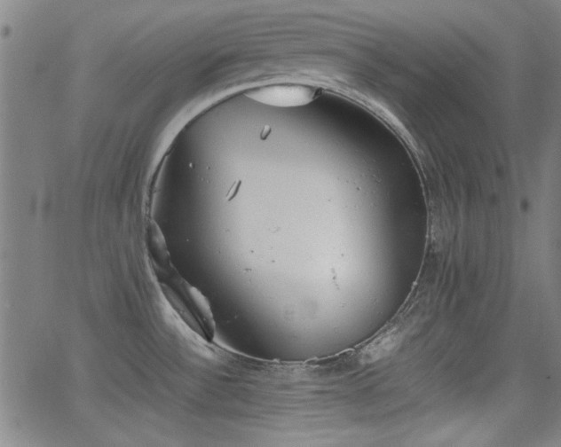 X0000064041532200601271149