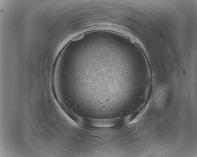 X0000064041533200601271149