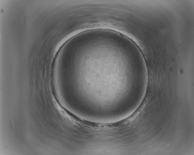 X0000064041534200601271149