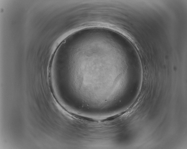 X0000064041535200601271149