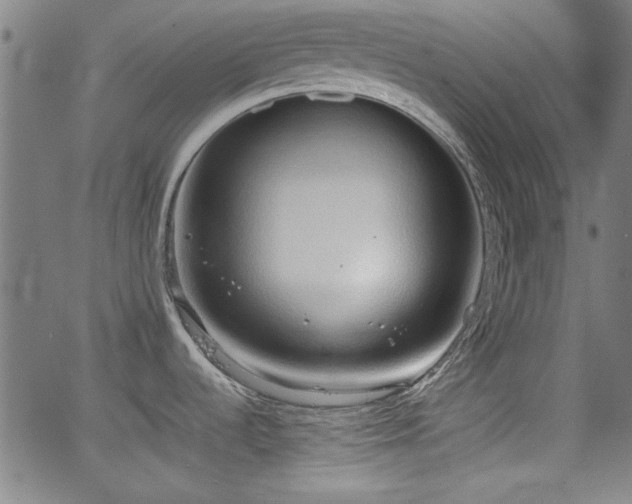 X0000064041536200601271149