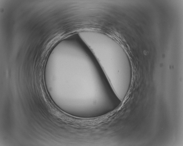 X0000064040001200601301200