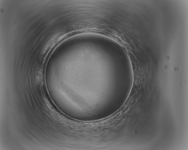 X0000064040002200601301200