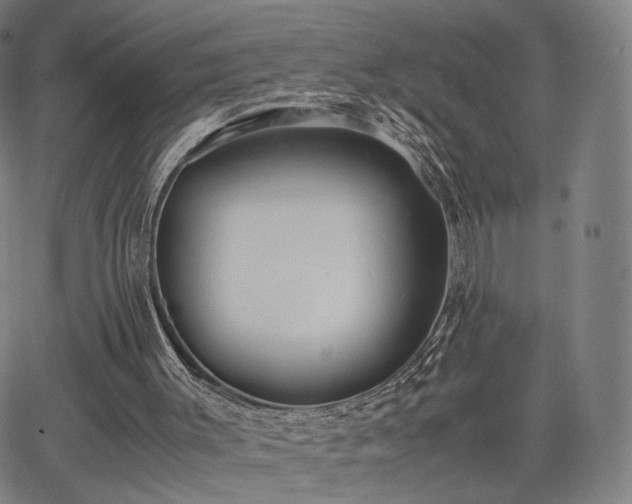 X0000064040003200601301200