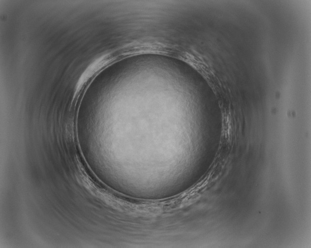 X0000064040004200601301200