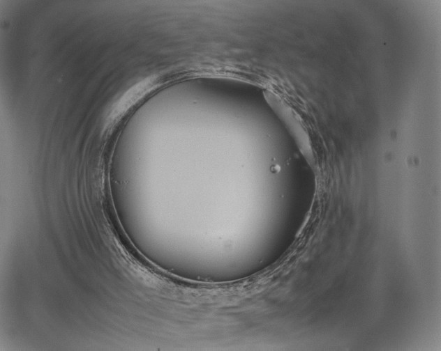 X0000064040005200601301200