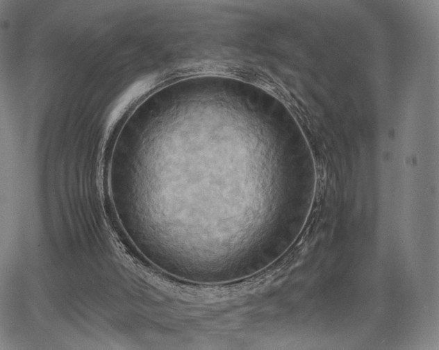 X0000064040006200601301200