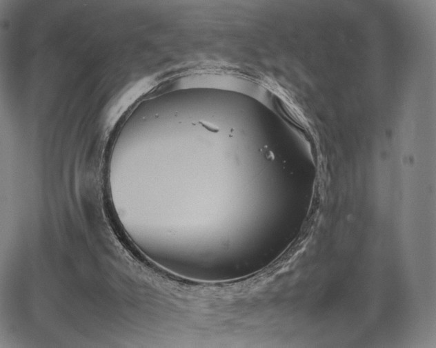 X0000064040007200601301200