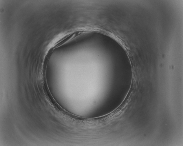 X0000064040008200601301200