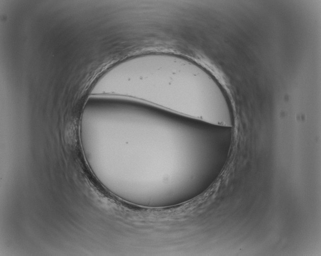 X0000064040009200601301200