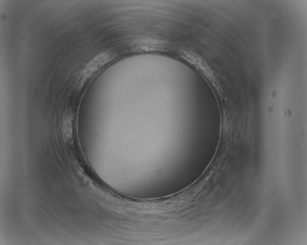 X0000064040010200601301200