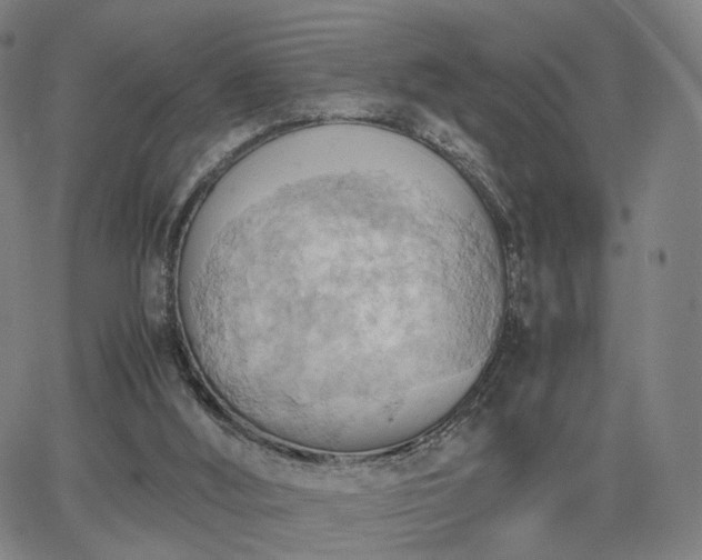 X0000064040012200601301200