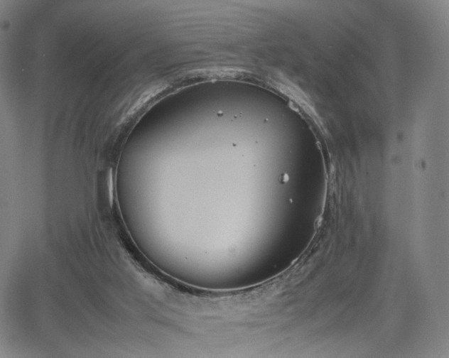 X0000064040013200601301200