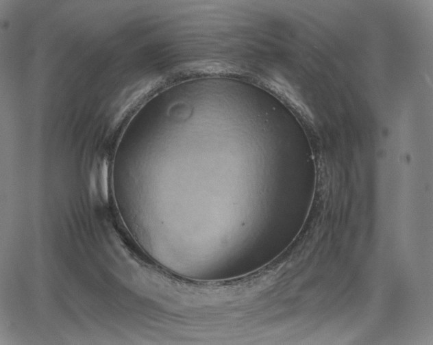 X0000064040014200601301200