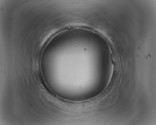 X0000064040015200601301200