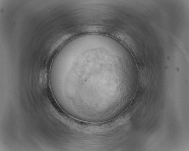 X0000064040016200601301200