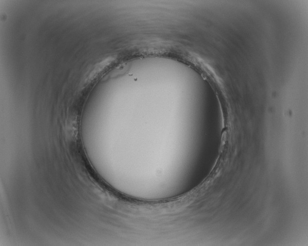 X0000064040017200601301200